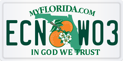 FL license plate ECNW03