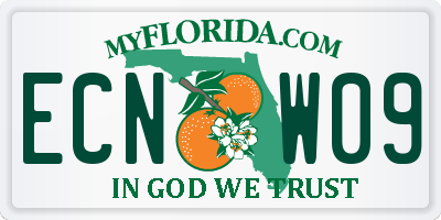 FL license plate ECNW09