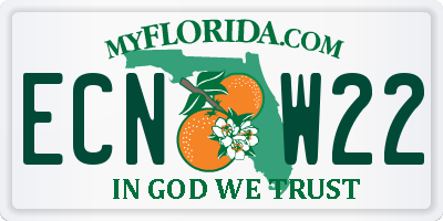 FL license plate ECNW22