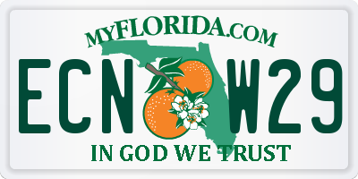 FL license plate ECNW29