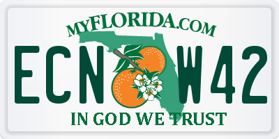 FL license plate ECNW42