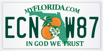 FL license plate ECNW87