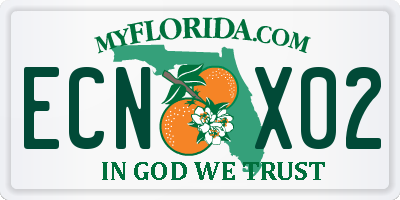 FL license plate ECNX02