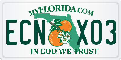 FL license plate ECNX03