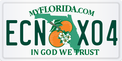 FL license plate ECNX04