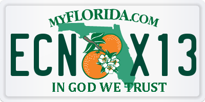 FL license plate ECNX13
