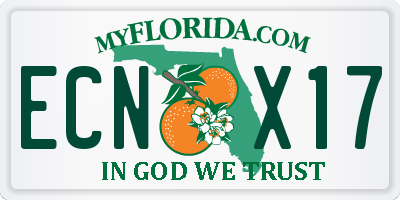 FL license plate ECNX17