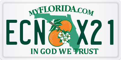 FL license plate ECNX21