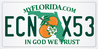 FL license plate ECNX53