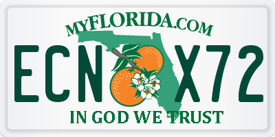 FL license plate ECNX72