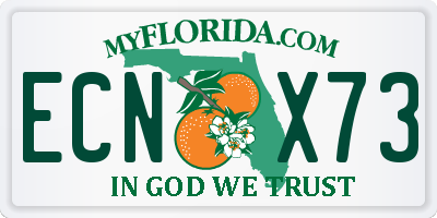 FL license plate ECNX73