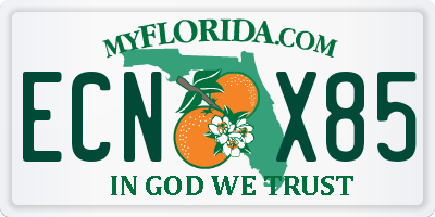 FL license plate ECNX85