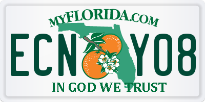 FL license plate ECNY08