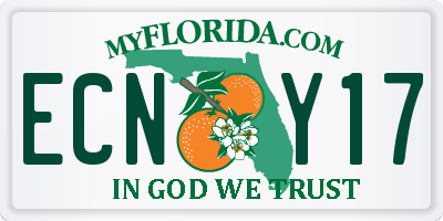 FL license plate ECNY17