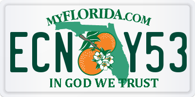 FL license plate ECNY53