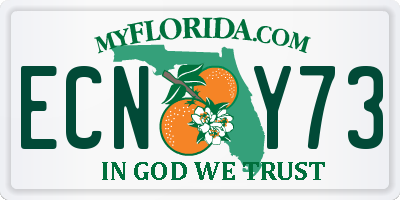 FL license plate ECNY73