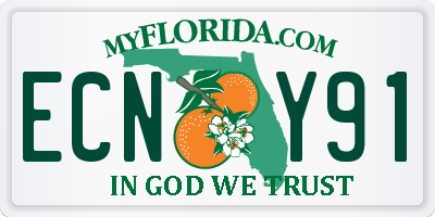 FL license plate ECNY91