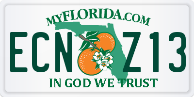 FL license plate ECNZ13