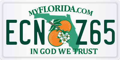 FL license plate ECNZ65