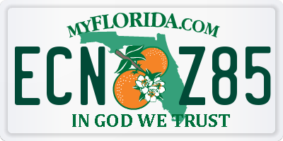 FL license plate ECNZ85