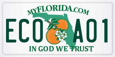 FL license plate ECOA01