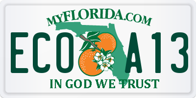 FL license plate ECOA13