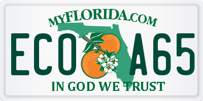 FL license plate ECOA65