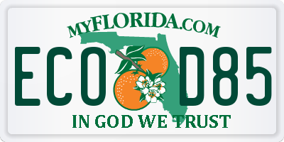 FL license plate ECOD85