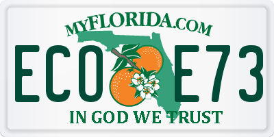 FL license plate ECOE73