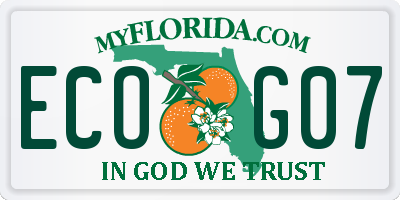 FL license plate ECOG07