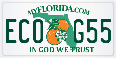 FL license plate ECOG55
