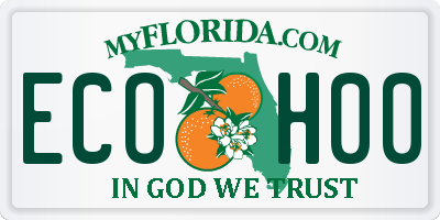 FL license plate ECOH00