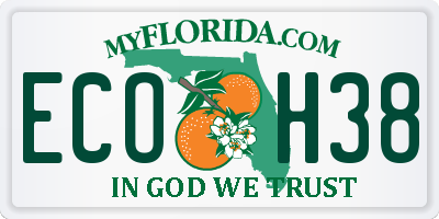 FL license plate ECOH38