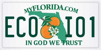 FL license plate ECOI01
