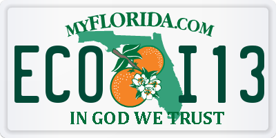 FL license plate ECOI13