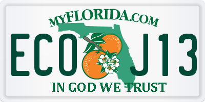 FL license plate ECOJ13