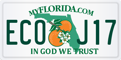 FL license plate ECOJ17