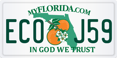 FL license plate ECOJ59