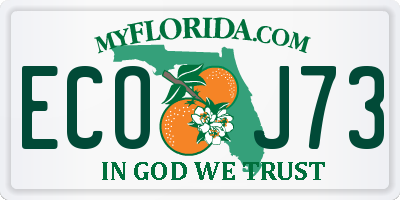 FL license plate ECOJ73