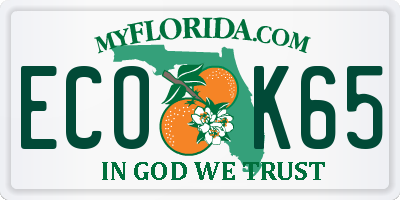 FL license plate ECOK65