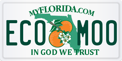 FL license plate ECOM00