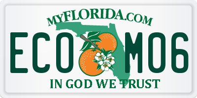 FL license plate ECOM06