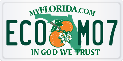 FL license plate ECOM07