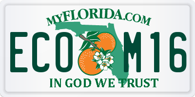 FL license plate ECOM16