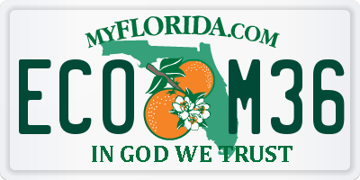 FL license plate ECOM36