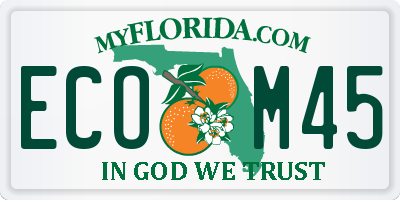 FL license plate ECOM45