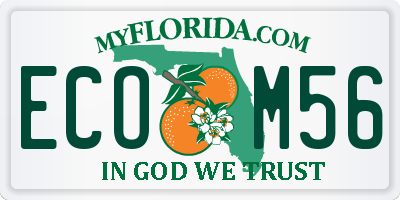 FL license plate ECOM56