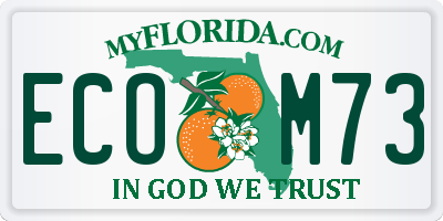FL license plate ECOM73