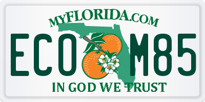 FL license plate ECOM85