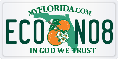 FL license plate ECON08
